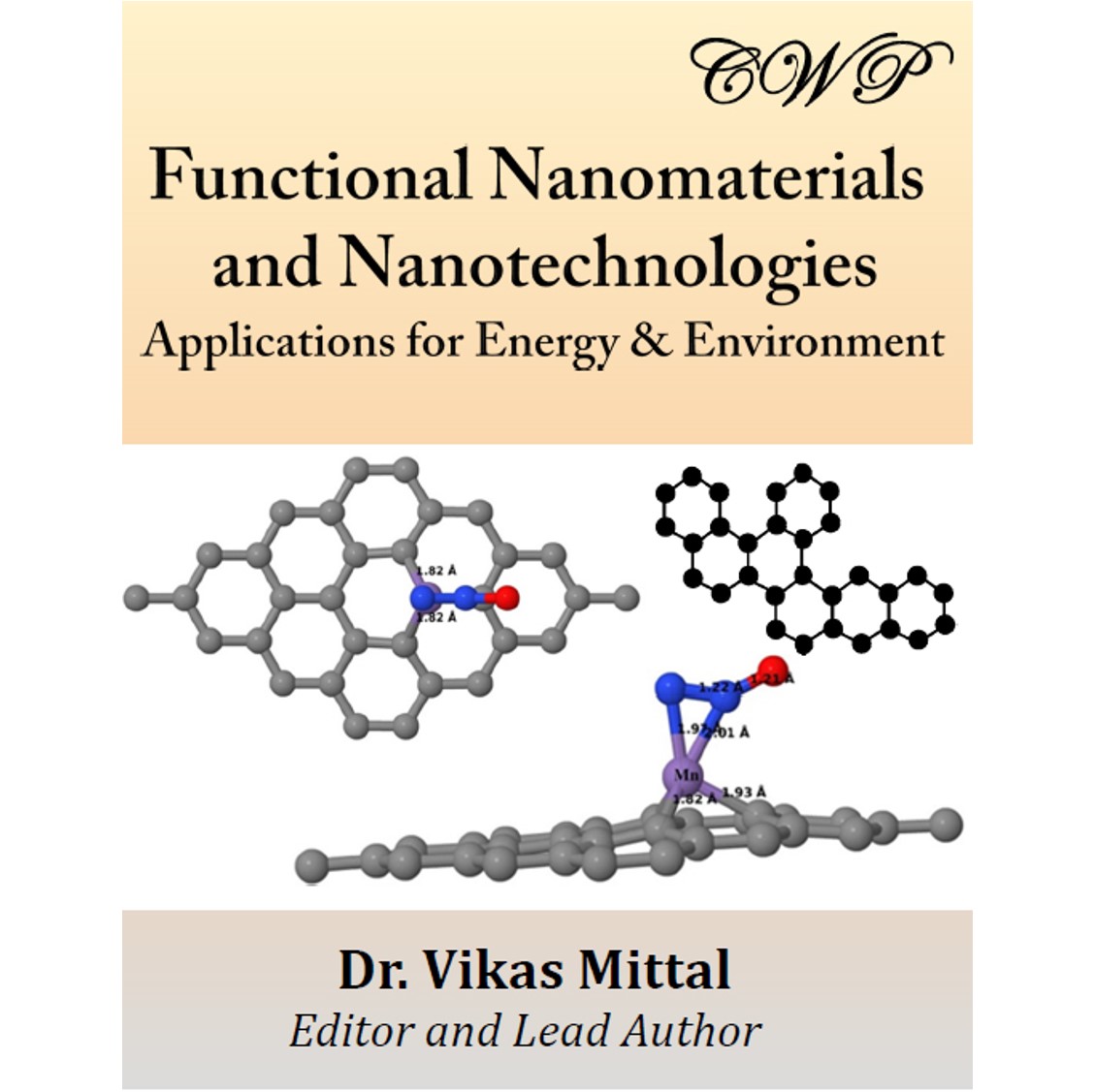 Functional Nanomaterials  and Nanotechnologies: Applications for Energy & Environment (Softcover)