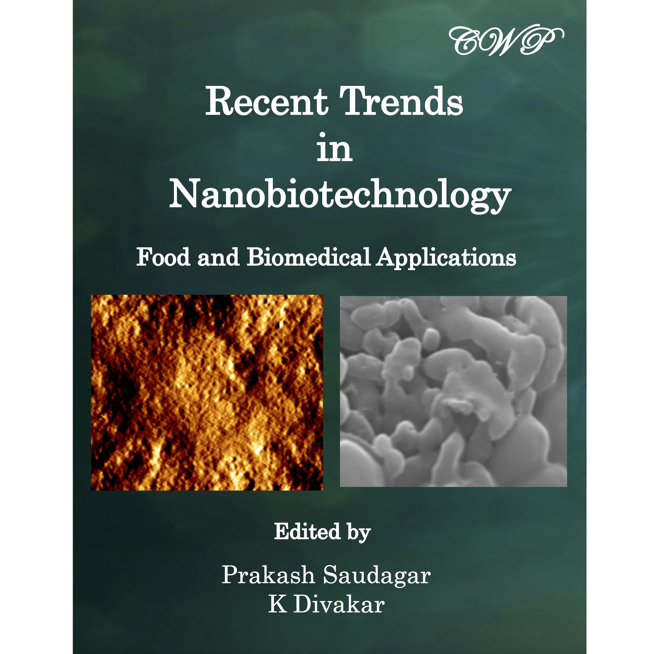 Recent Trends In Nanobiotechnology: Food And Biomedical Applications ...